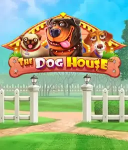 От Pragmatic Play представлен The Dog House, демонстрирующий веселое приключение с очаровательных собак. Участвуйте в игровых элементах включая множители, идеальных для предоставления волнующих выигрышей. Идеально подходит для любителей животных легкую обстановку с шансом на крупные выигрыши.